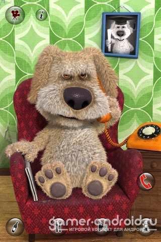 Talking Ben a dog pro