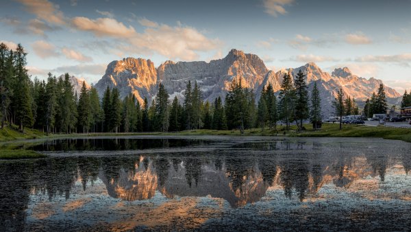 file_94619905