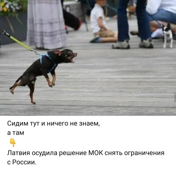 IMG 20260710 082910