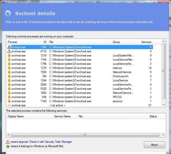 SvchostAnalyzer