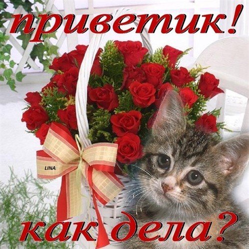 file_52485942