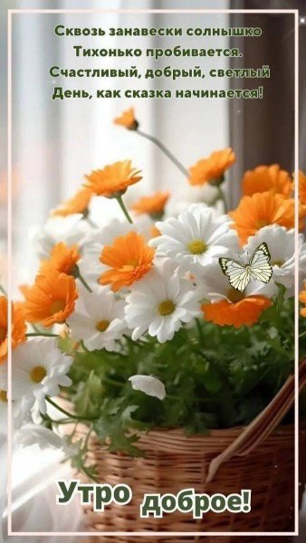 file_94737082