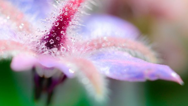 file_82034171