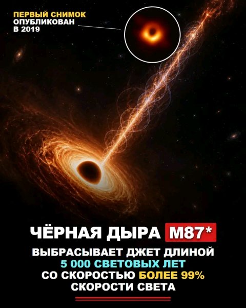 file_103289028