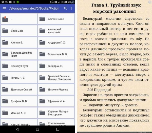 FBReader Premium v2.6.13