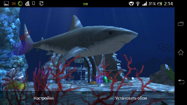 OceanDiscovery.full 1.11