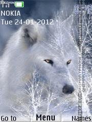 Аwolf-109499