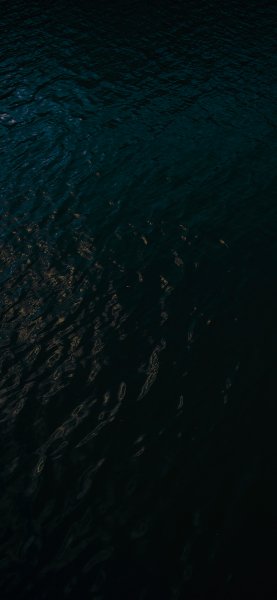 file_91907773