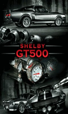 SHELBY GT 500