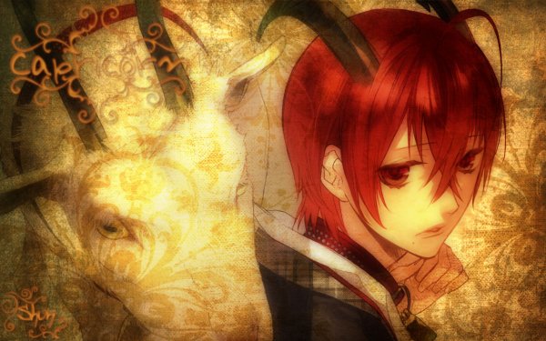Starry Sky. 10 Capricorn