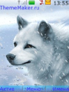 Snow wolf