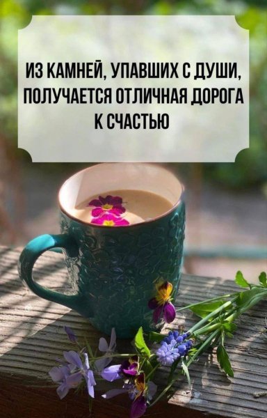 IMG 20250228 085357 459