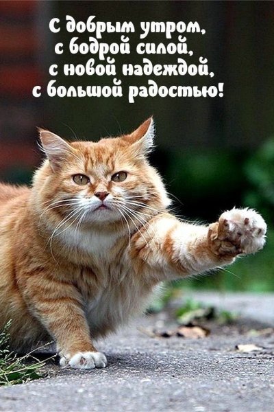 file_91837108