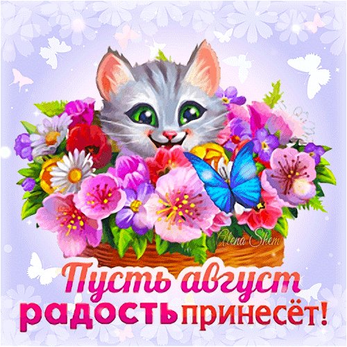 анимированная открытка пусть август