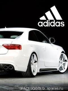 Adidas and cars.[1]