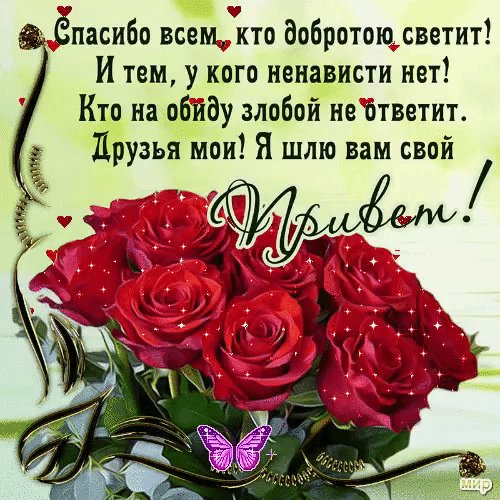 file_80289740