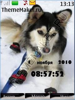 Снежные псы