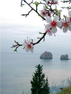 springtime