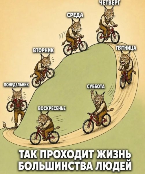 Img 1 1782919982506