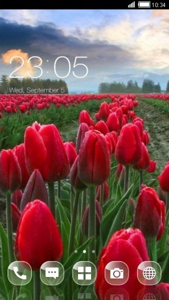 Red Flowers