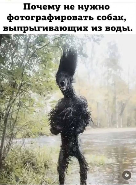 file_103322374