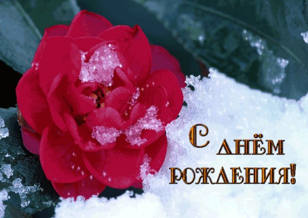 file_71581901