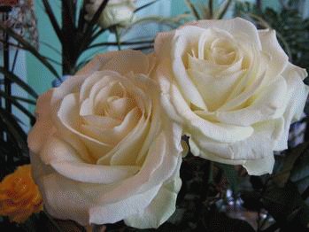 file_85269016