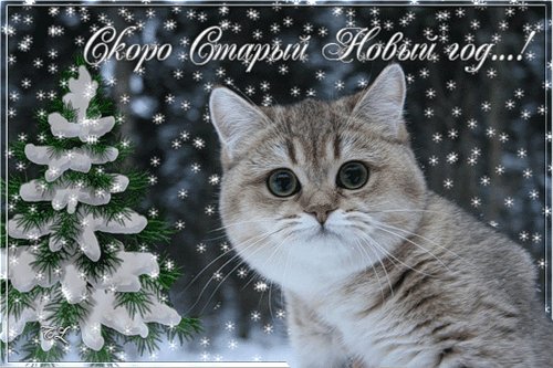 0 6aefc c0887ed8 L