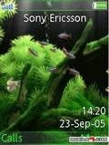 Aquarium Animated