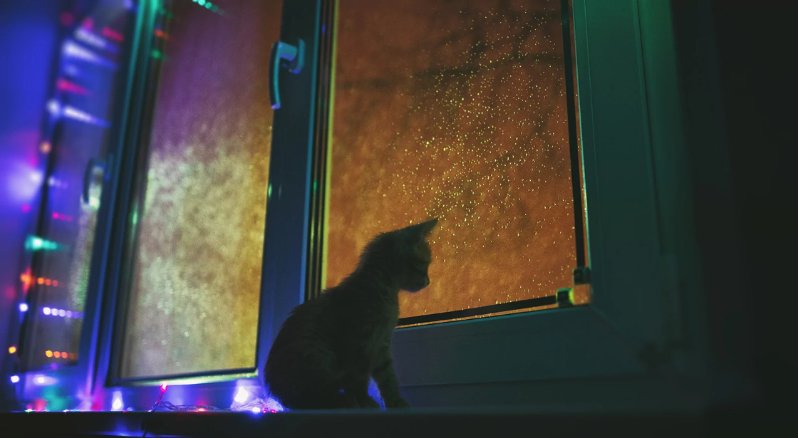 Светодиодная и неоновая подсветка окон