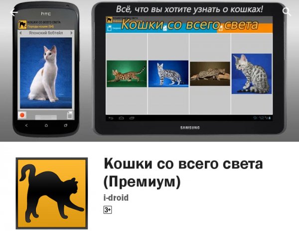 Кошки со всего света (Премиум).ver.2.2