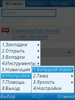 ibrowser2.5 rus italic by slot igorela21