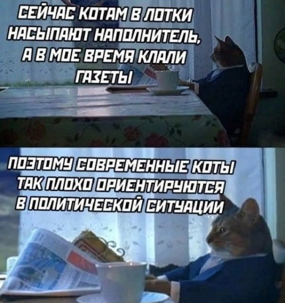 file_103135704