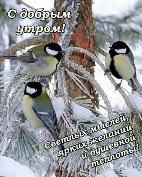 file_92176488