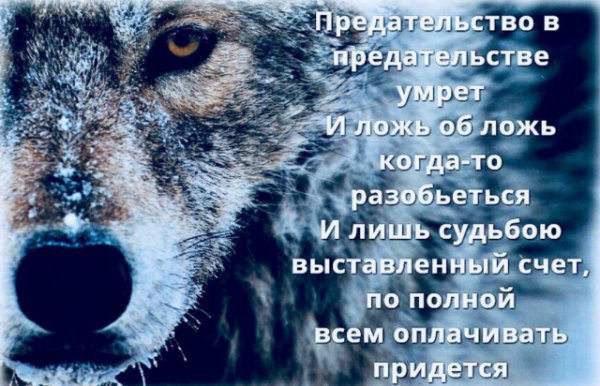 Расплата