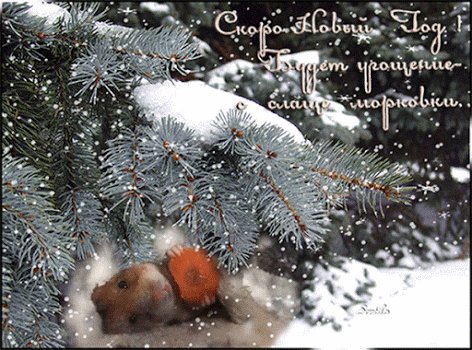 Скоро Новый год!