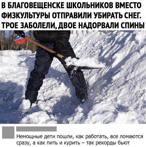 file_79368611
