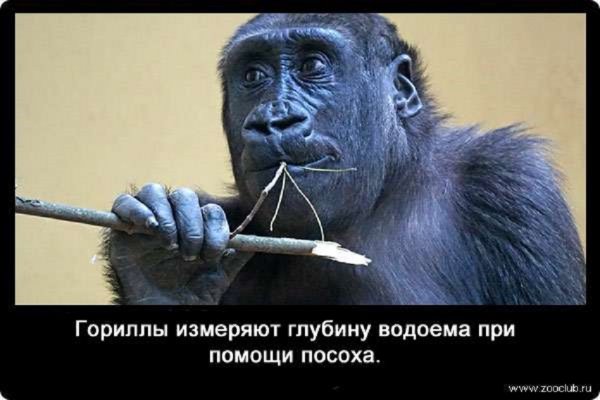file_84402546