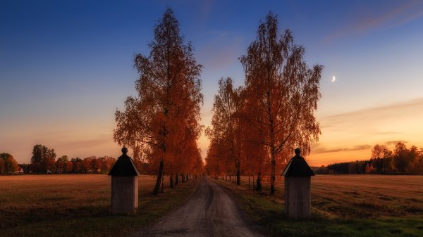 file_96959604