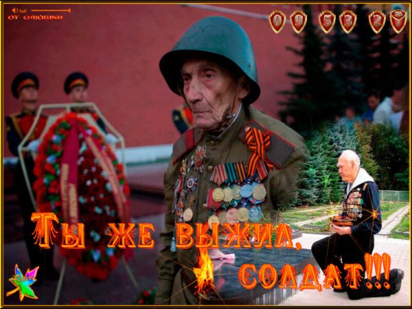 file_81526666