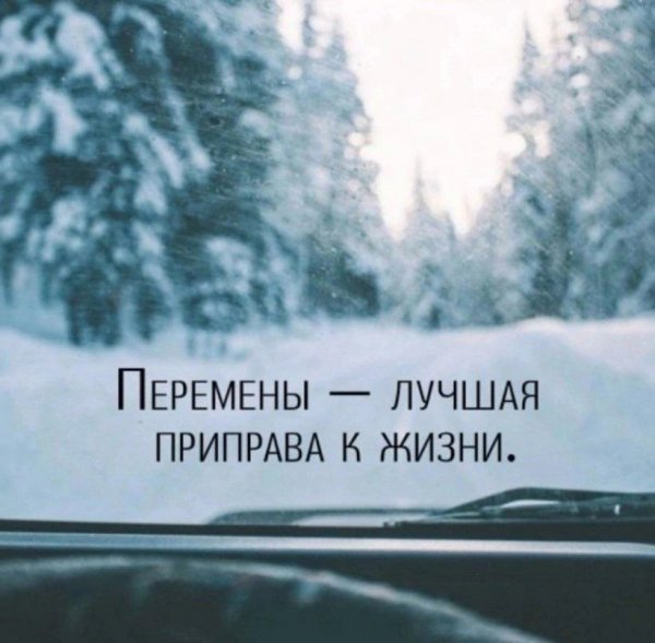 IMG 20250220 122955 195