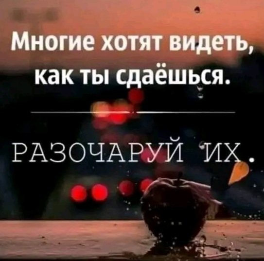 IMG 20260221 020629