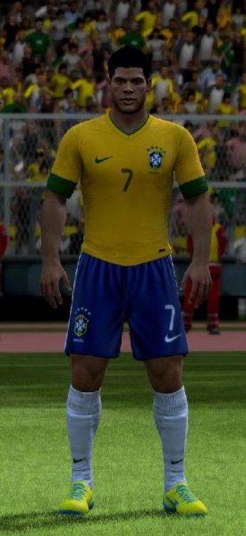 brazil home