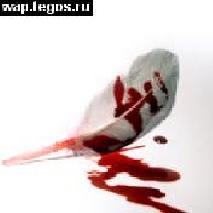 Tegos Vamplips