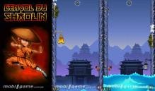 Shaolin Jump SE 240x320