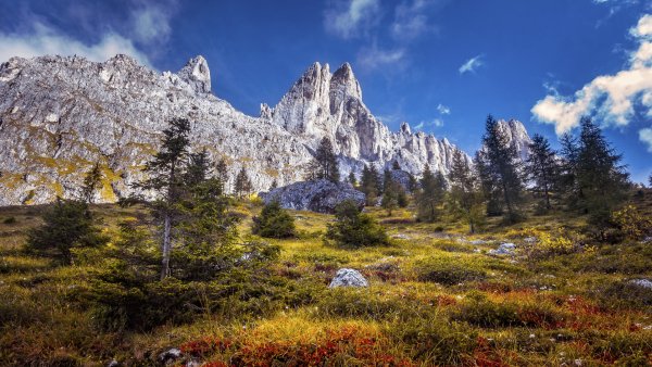 file_94650217