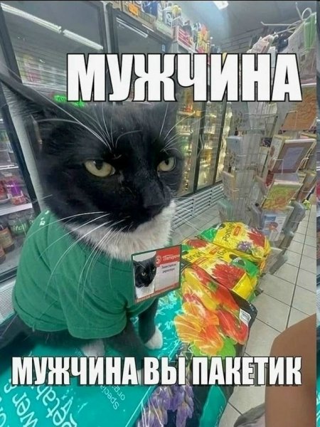 file_103286725