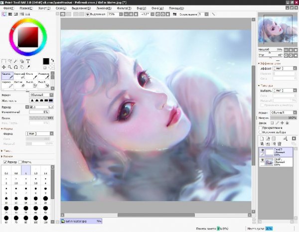 Paint Tool SAI 2.0 x64 (2017)