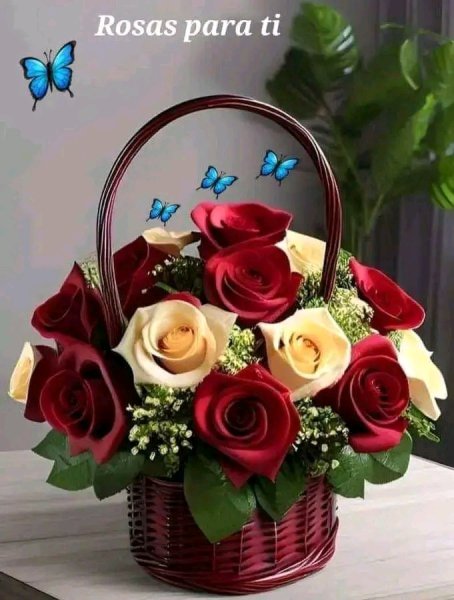 file_95695328