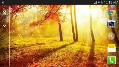 Sunshine
